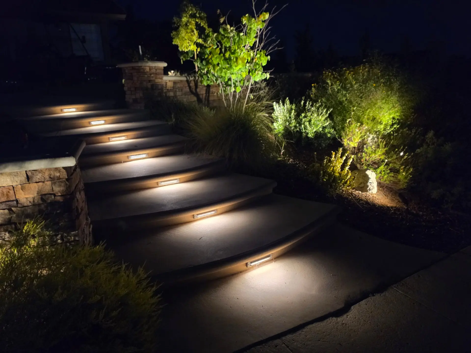 Landscape Lighting — Staples Landscaping San Diego