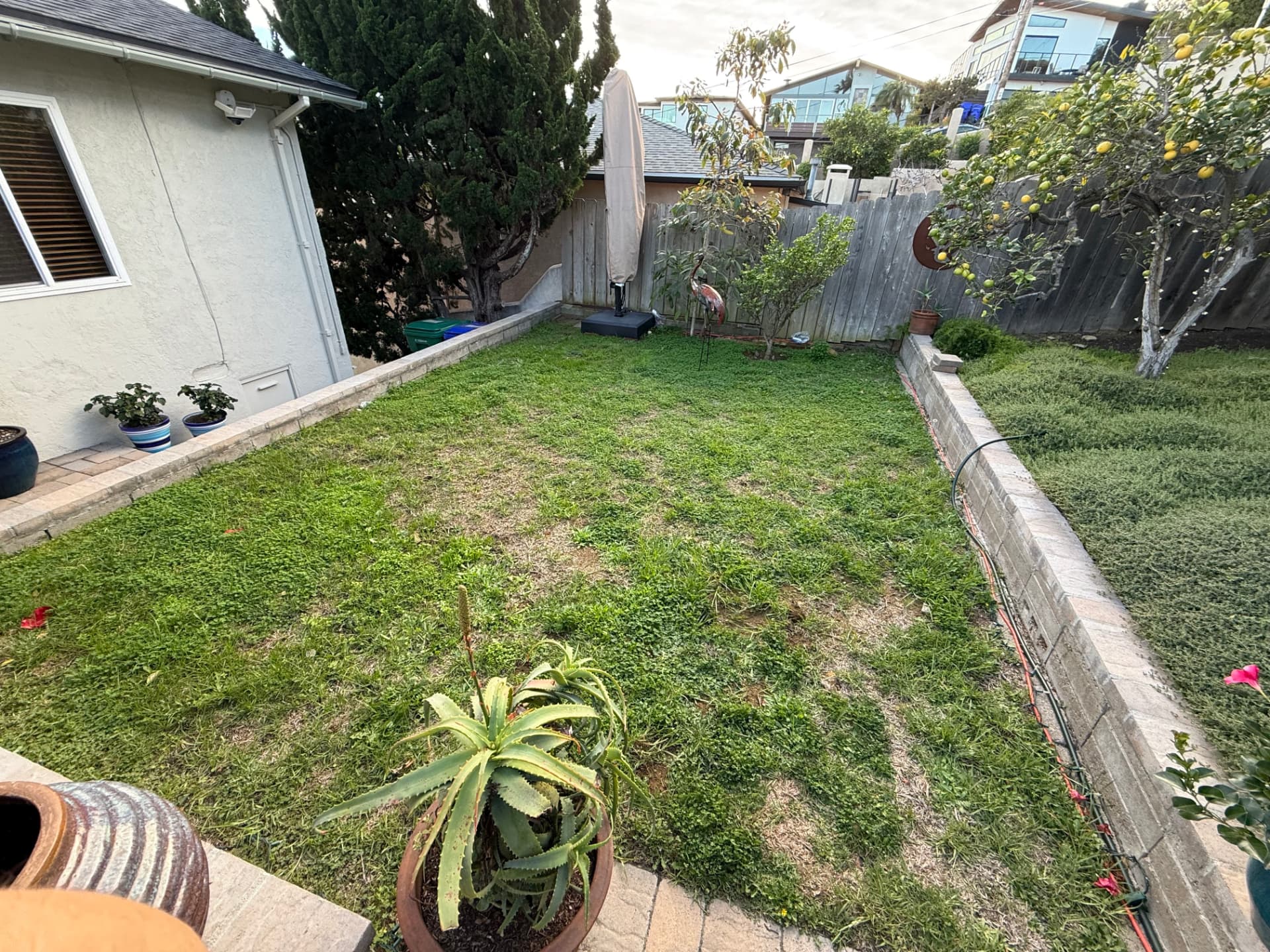 Before: Flagstone Patio & Tropical Beds in Point Loma
