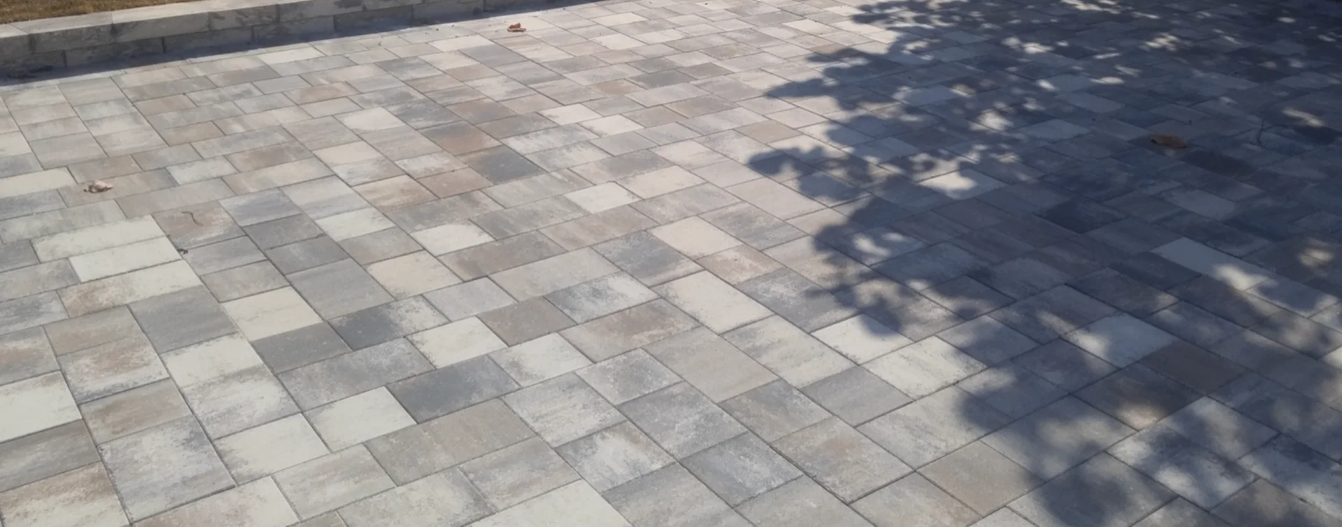Bungalow Yard Rebuild — Front walk, porch planting, rear paver patio, raised beds, irrigation in Normal Heights, San Diego